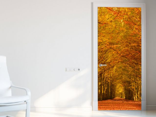 Autumn in the park | Door wallpaper