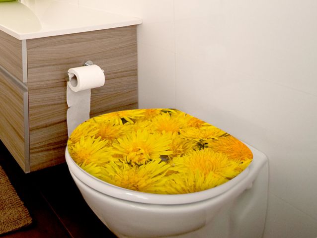 Wild flowers | Toilet cover sticker