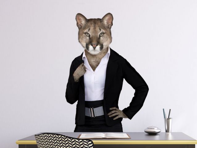 Business puma | Wall sticker