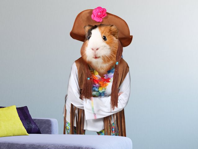 hippy hamster decal