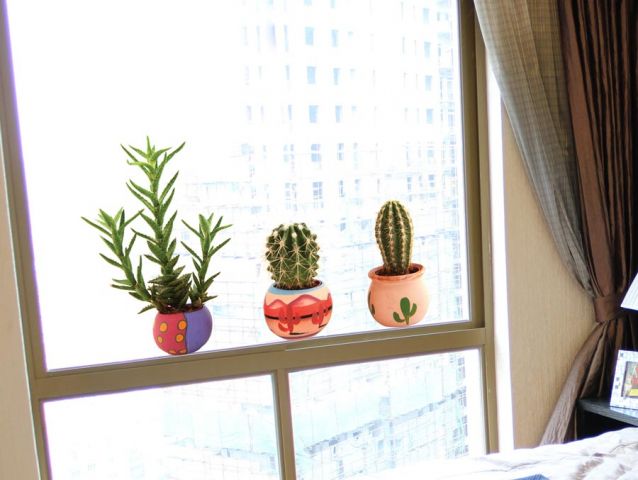 Cute cacti | Window sticker