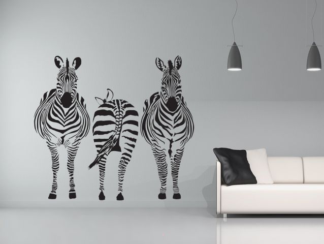 The three zebras | Wall sticker