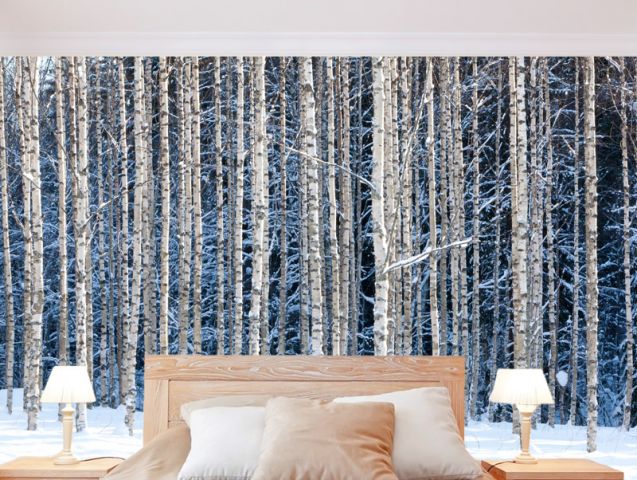 Snowy trees | Sticker wallpaper