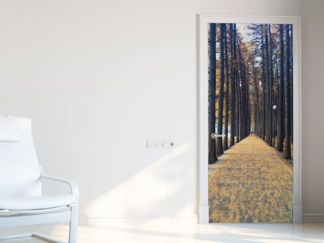 Road to the woods | Door wallpaper sticker