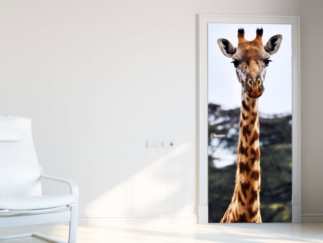 giraffe door wallpaper