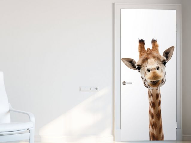 Cute giraffe | Door wallpaper