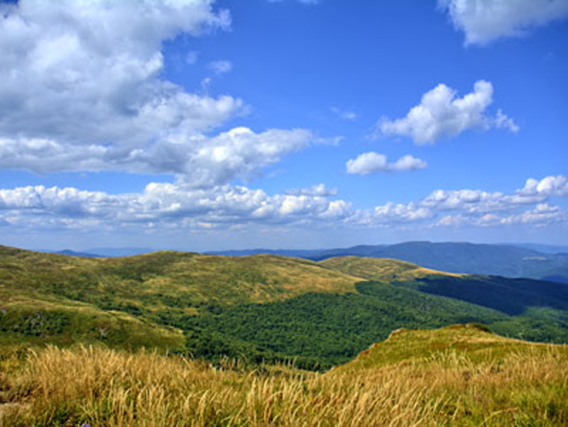 sky and nature wallpaper