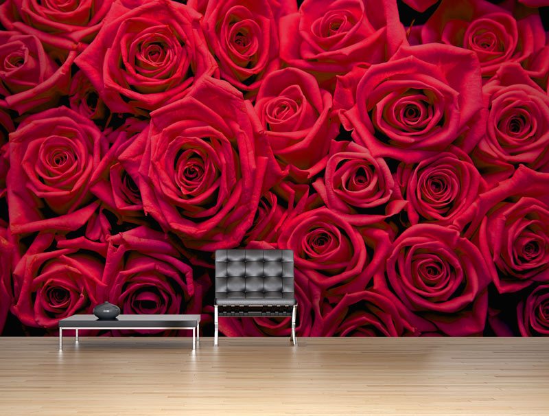 Red roses | Sticker wallpaper