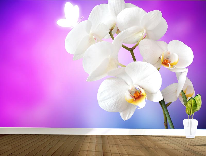 Orchid with purple background | Sticker wallpaper