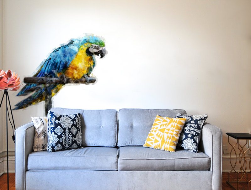 Colorful parrot | Wall sticker
