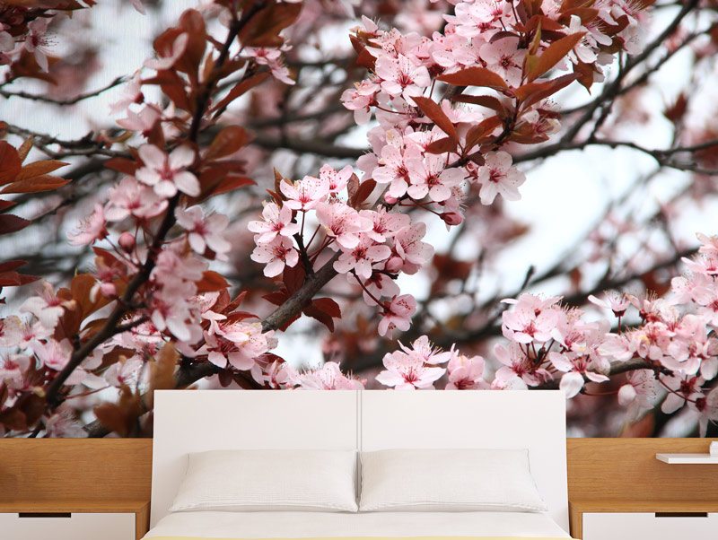 Cherry blossom | Sticker wallpaper