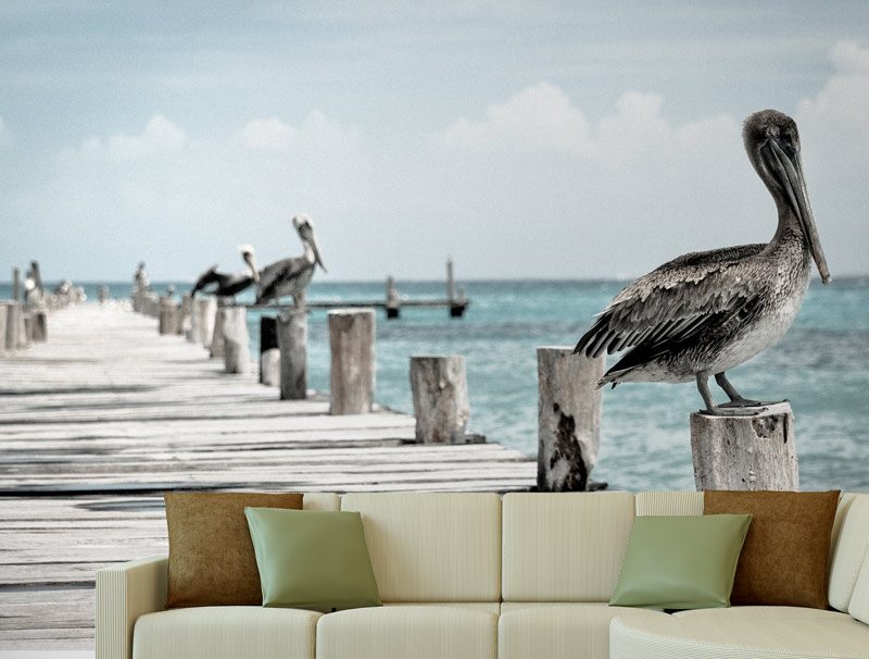 Pelicans on a pier | Wallpaper sticker