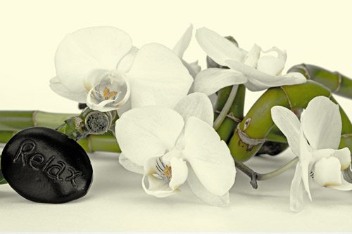 Orchids | Sticker wallpaper