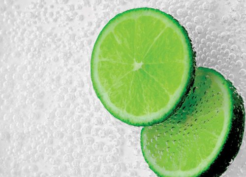 Limes | Wallpaper sticker