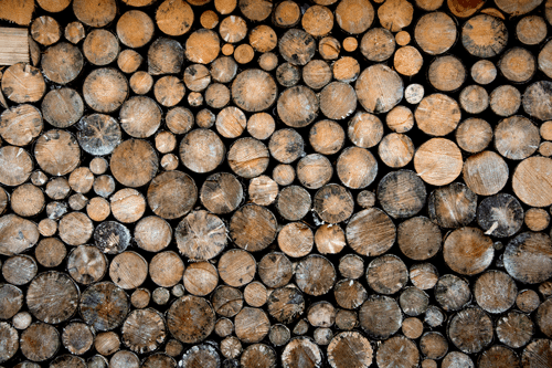 Wooden logs  | Wallpaper sticker