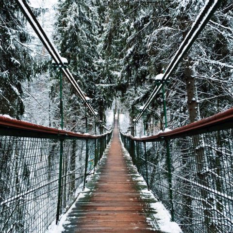 Snowy bridge | Wallpaper sticker