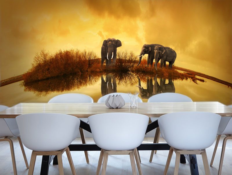 Elephants reflecting | Sticker wallpaper