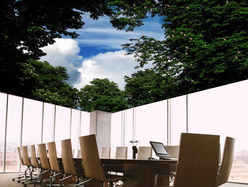 Blue skies through the trees | Ceiling wallpaper