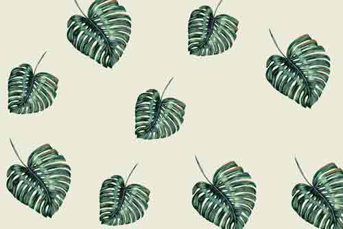 Tropical leaves | Sticker wallpaper