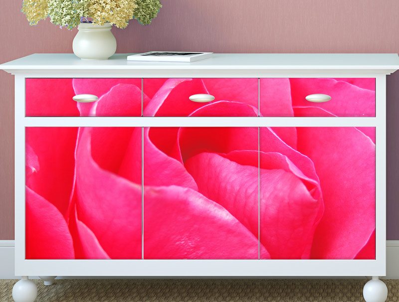 Furniture wallpaper | pink rose