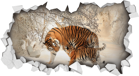3D sticker tigers in the snow