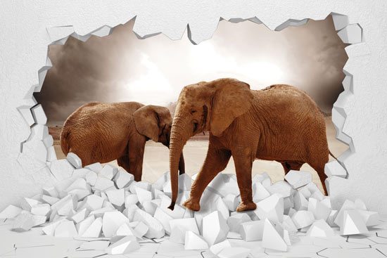 Elephants in the wall | wallpaper