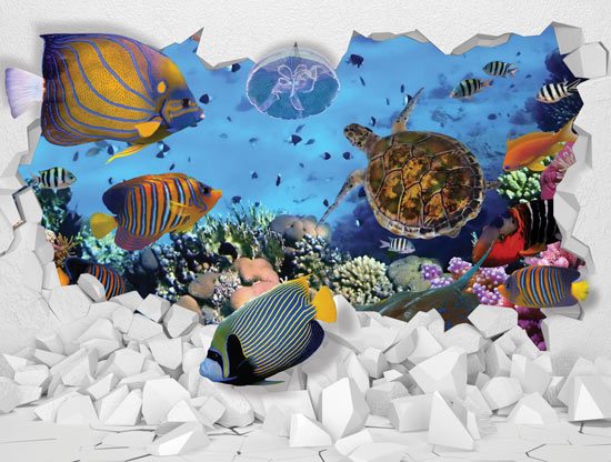 3D Aquarium | wallpaper