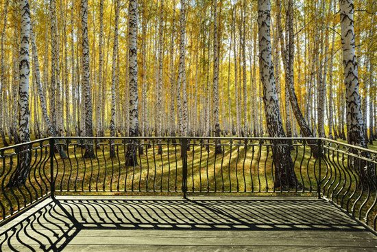 balcony | Yellow forest wallpaper