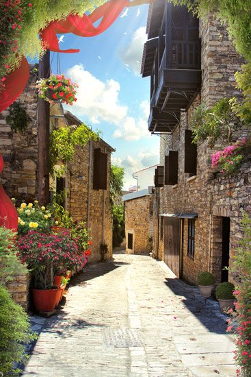 A street with flowers