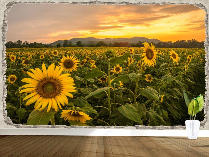 Sunflowers | Wallpaper hole in the wall