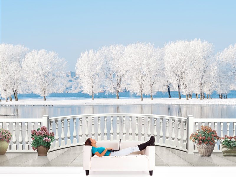 Balcony with a view of a beautifull frozen lake