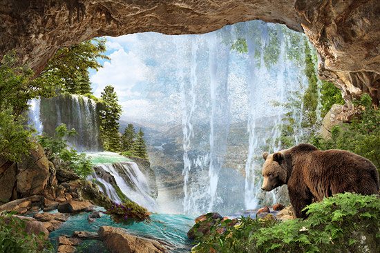 A bear in a cave | wallpaper