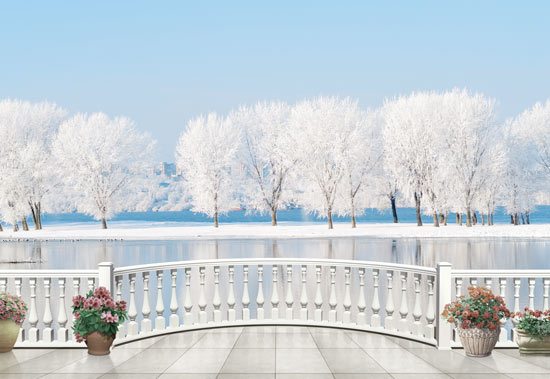 Balcony with a view of a beautifull frozen lake