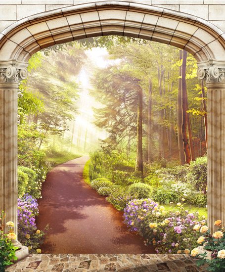 A gate with a path in a beautiful forest