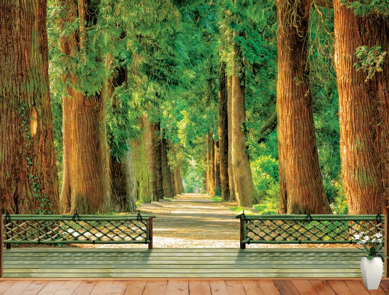 Wallpaper of a wooden balcony with views of a beautiful green forest