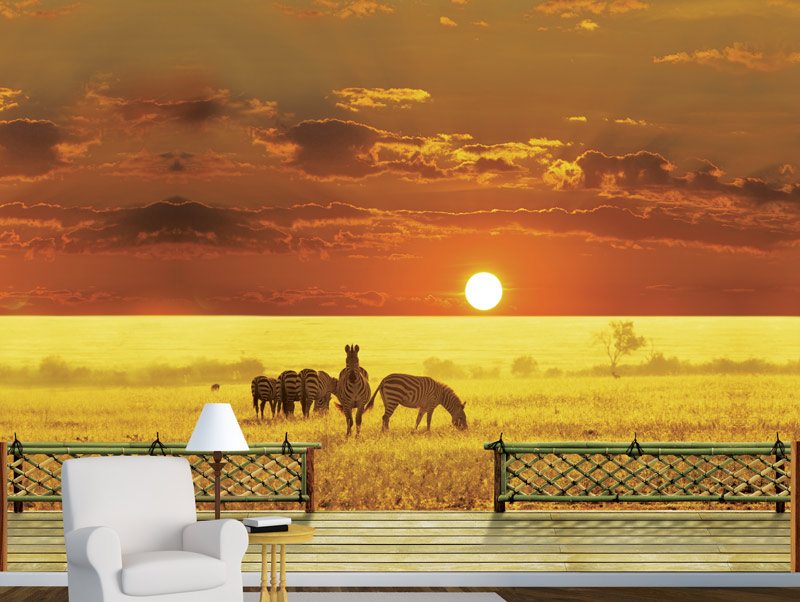 Wallpaper of a wooden balcony with a view of zebras in Savannah