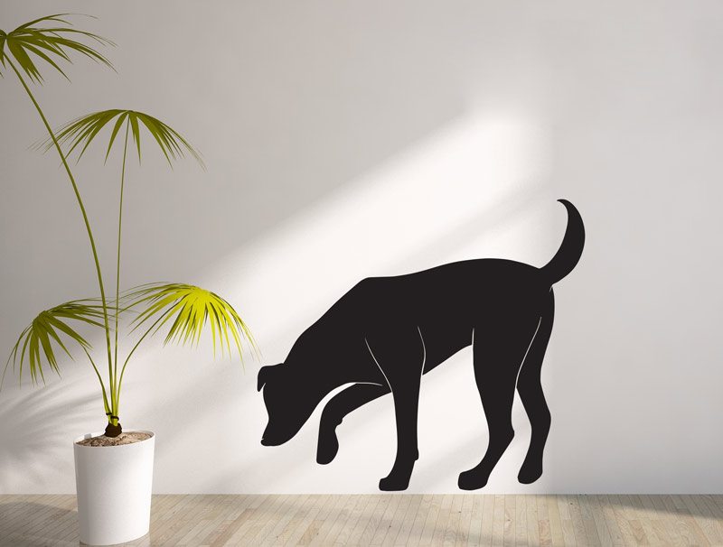 Wall sticker of dog sniffing
