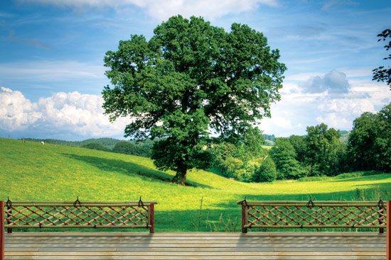 Wallpaper of a wooden balcony with a beautiful green view