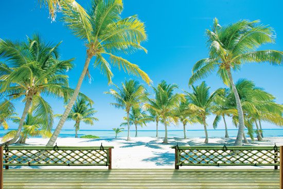 Wallpaper of a three-dimensional balcony with views of a tropical beach