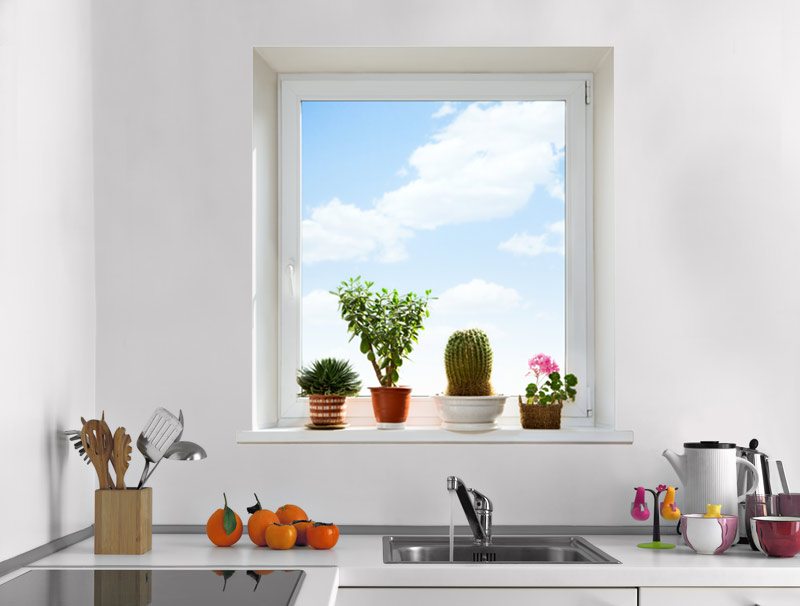 Wall Sticker | A window with a view of the sky and plants