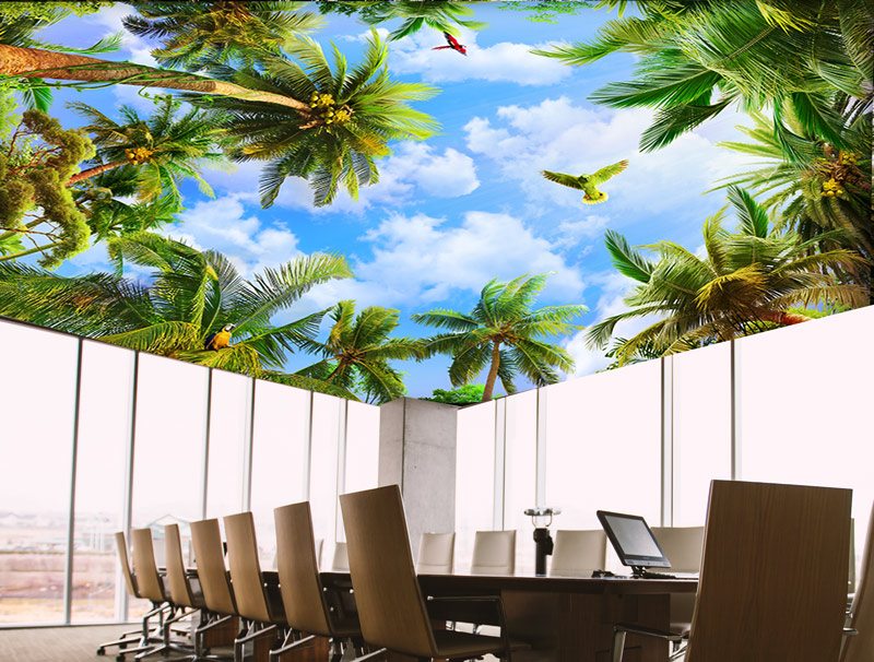 ceiling wallpaper | Sky in a tropical forest