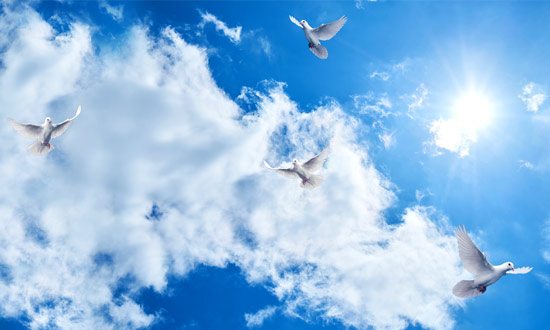 Wallpaper for ceiling | Blue sky with white doves