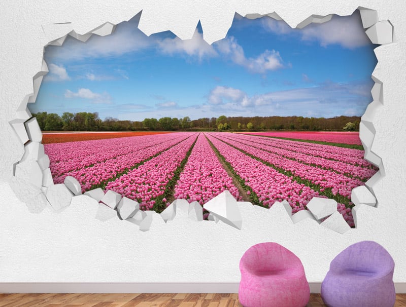 Wallpaper | Hole in the wall with a view of a field of pink flowers