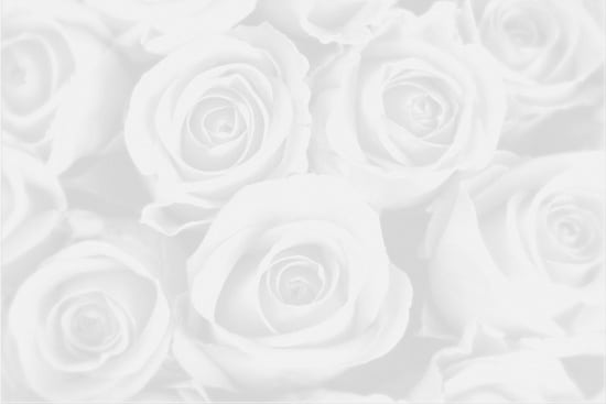 Wallpaper | Roses in shades of gray