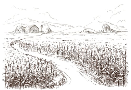 Wallpaper | Rural fields