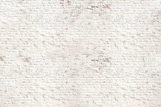 Wallpaper | Old white bricks
