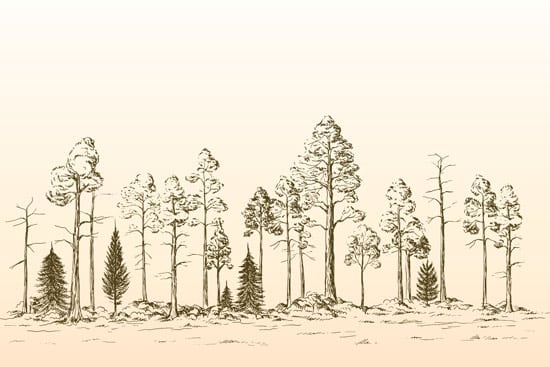 Wallpaper | An  illustrated forest