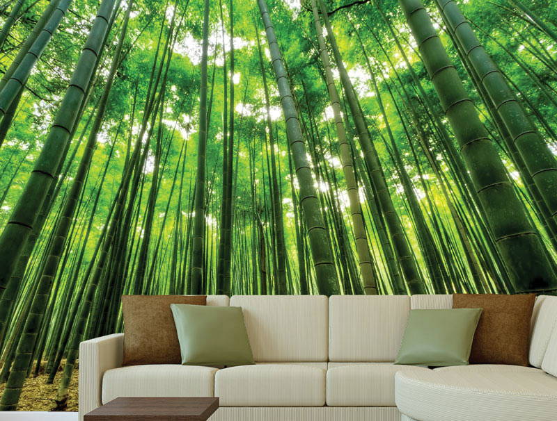 Wallpaper - Bamboo forest