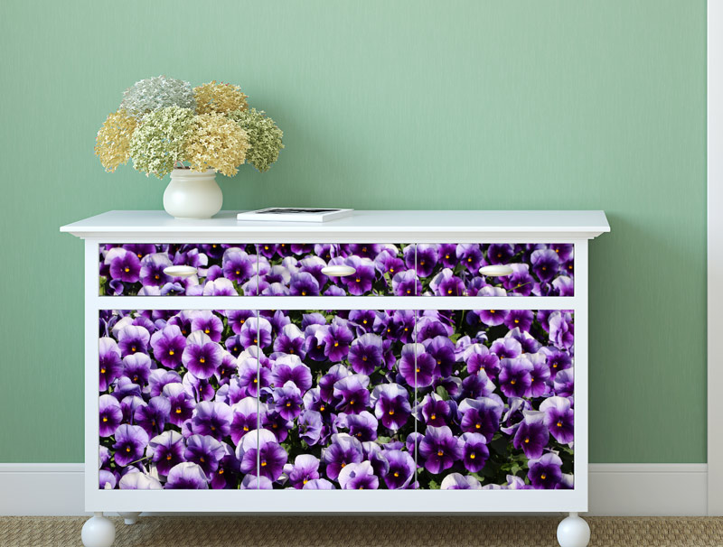 Wallpaper - field of purple flowers