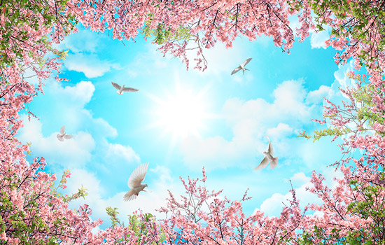Wallpaper - sky and pink flowers